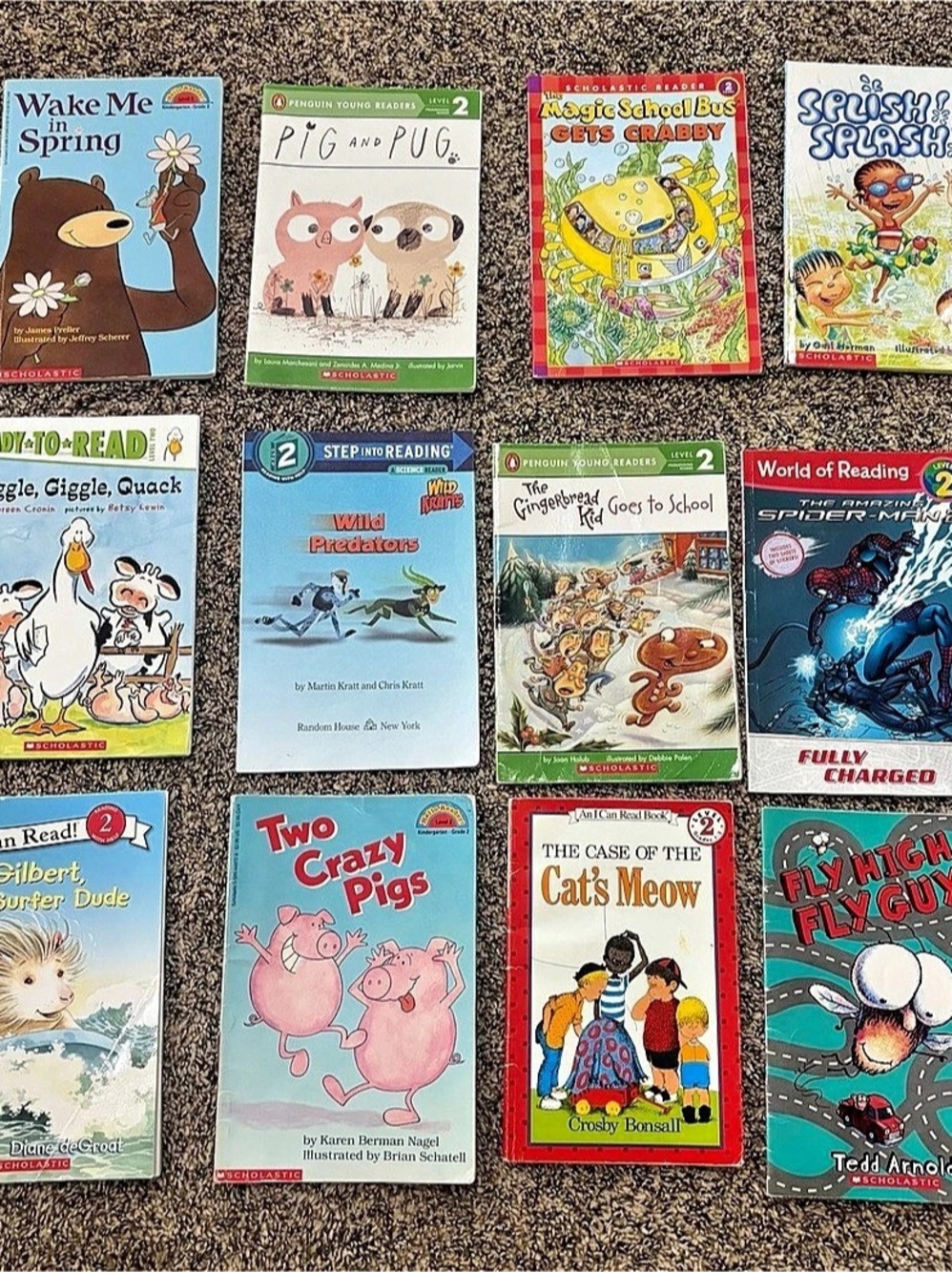 Children’s Reader Book Lot Multicolor 15 Books level2-4